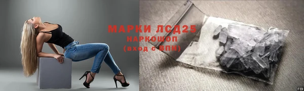 PSILOCYBIN Нязепетровск